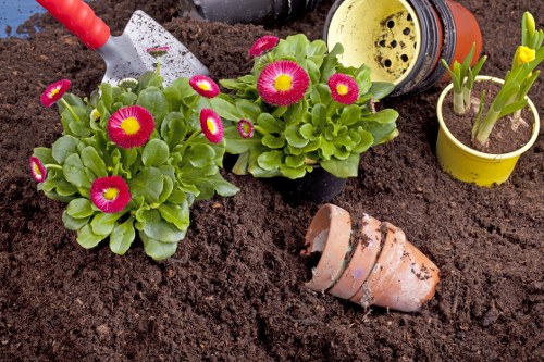 Gardener inspecting a residential garden site