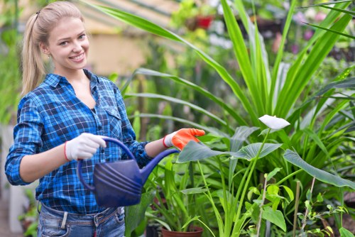 Photo of a gardener using a wheelchair tending to an accessible planting area in Edmonton