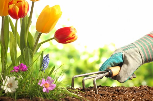 List of accepted payment methods for Gardening Edmonton including cards and PayPal